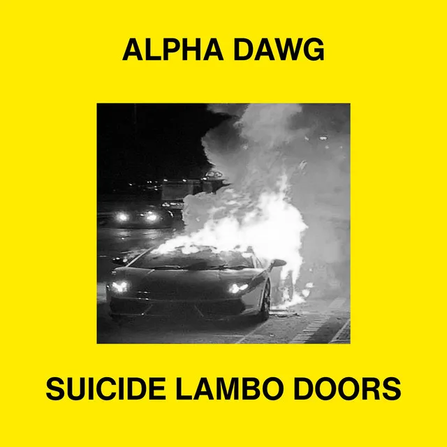 Suicide Lambo Doors