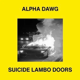 Suicide Lambo Doors by Alpha Dawg