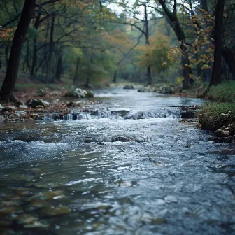 El Toque Del Río: Flujo De Música De Masaje by Punto Tranquilo