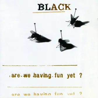 Are We Having Fun Yet? by Black