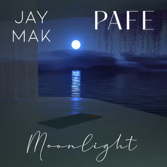 Moonlight (Radio Edit) by PAFE