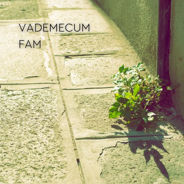 Vademecum 2021