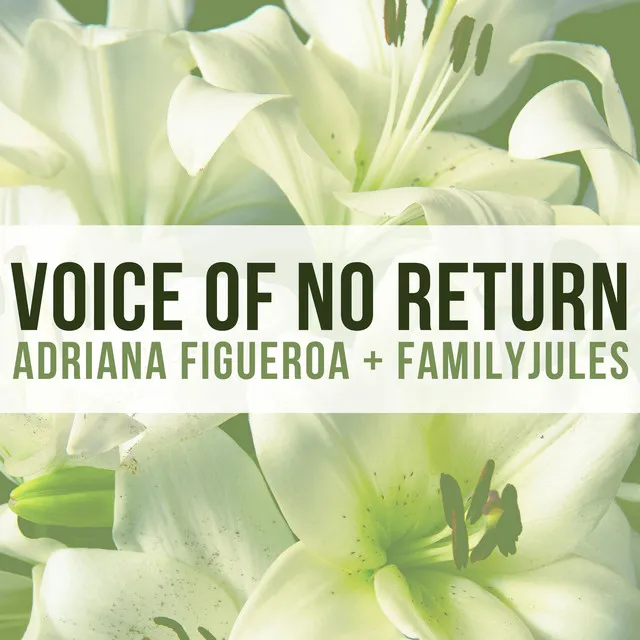 Voice of No Return