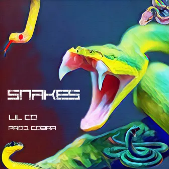 Snakes by Lil Co