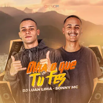 Olha o Que Tu Fez by DJ Luan Lima