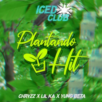 Plantando Hit by Chryzz