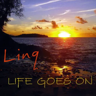 Life Goes On by Linq