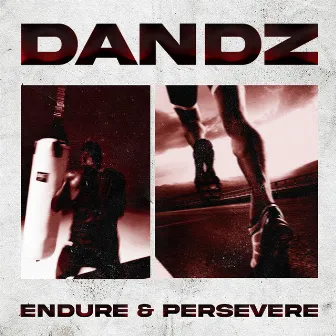 Endure & Persevere by Dandz