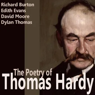 The Poetry Of Thomas Hardy by John Glen