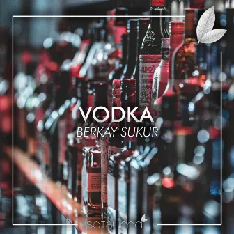 Vodka by Berkay Şükür