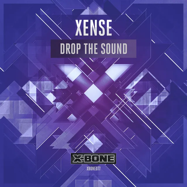 Drop The Sound - Original Mix