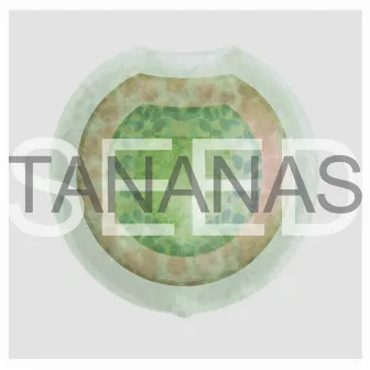 Seed by Tananas