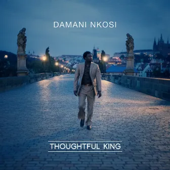 Thoughtful King by Damani Nkosi