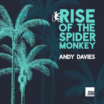 Rise of the Spider Monkey by Andy Davies