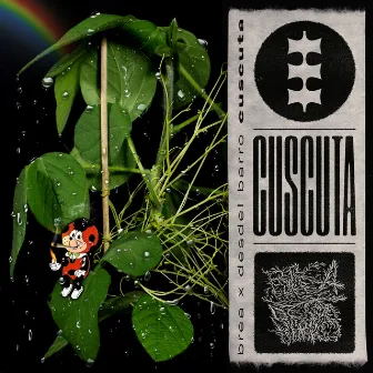 Cuscuta by Brea