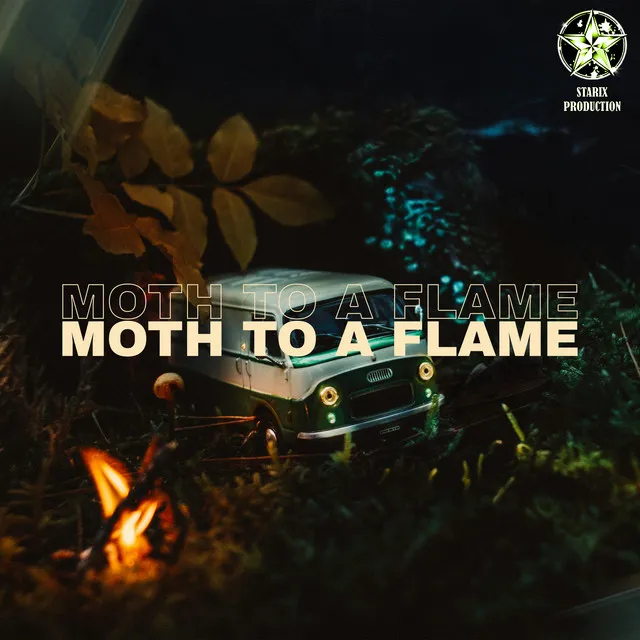 Moth To A Flame