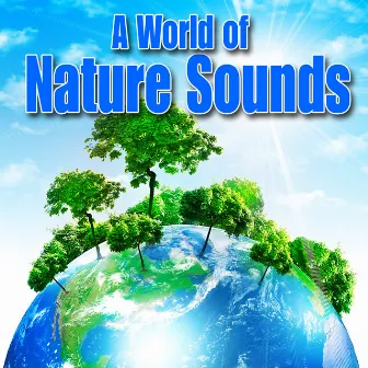 A World of Nature Sounds by Best Nature Sounds