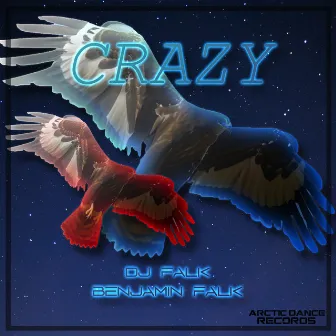 Crazy by Benjamin Falk