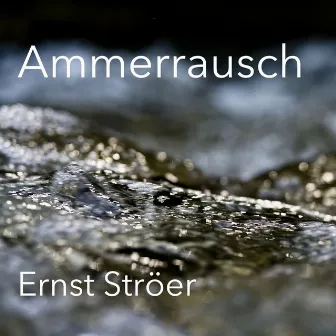 Ammerrausch (Original Motion Picture Soundtrack) by Ernst Ströer