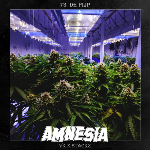 Amnesia