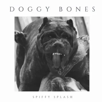 Doggy Bones by Spiffy Splash