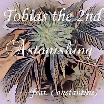 Astonishing by Tobias the 2nd