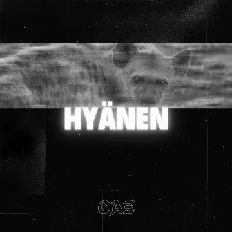 Hyänen by CaZ