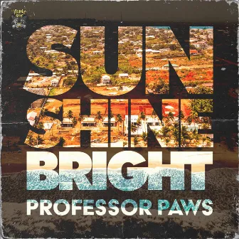 Sun Shine Bright by Professor Paws