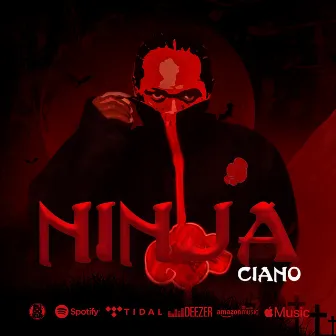 Ninja by Ciano