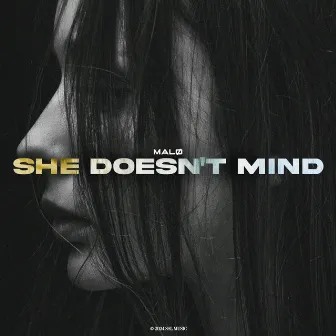 She Doesn't Mind by MALØ