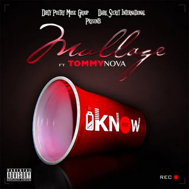 I Know (feat. Tommy Nova) - Single