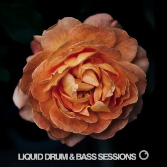 Liquid Drum & Bass Sessions 2019 Vol 4 by Dreazz