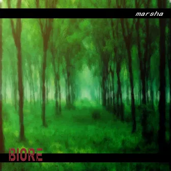 BIORE by Marsha