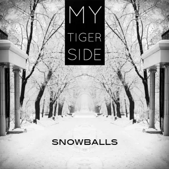 Snowballs by My Tiger Side