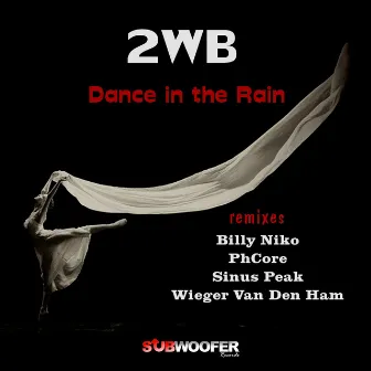 Dance in the Rain by 2WB