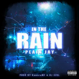 In the Rain by Plain Jay