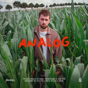 Analog by Vauh