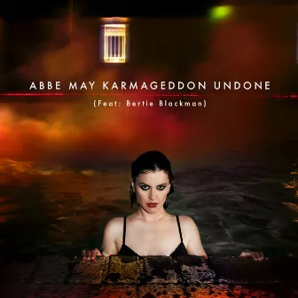 Karmageddon Undone by Abbe May