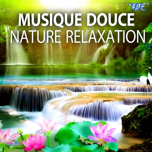 Musique Douce Nature Relaxation