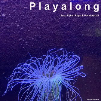 Playalong by David Herzel