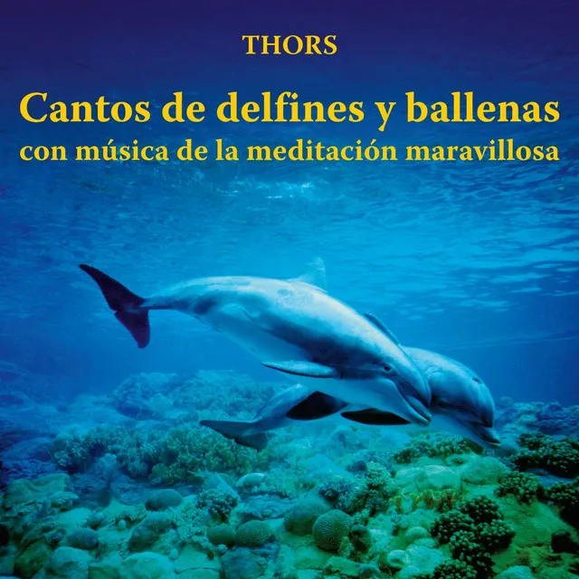 Cantos de Delfines y Ballenas Con Música de la Meditación Maravillosa