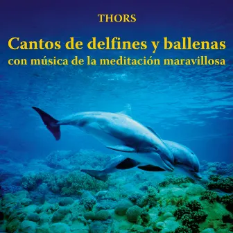 Cantos de Delfines y Ballenas Con Música de la Meditación Maravillosa by Thors