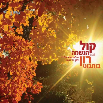 קול הנשמה by רון בוחבוט