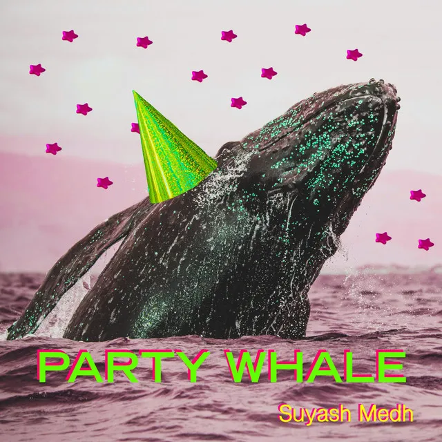 Party Whale