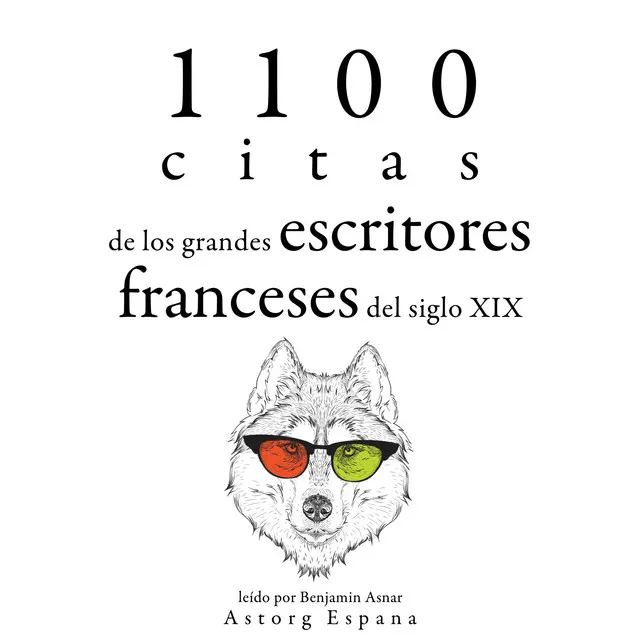 Capítulo 6.6 - 1100 citas de los grandes escritores franceses del siglo XIX