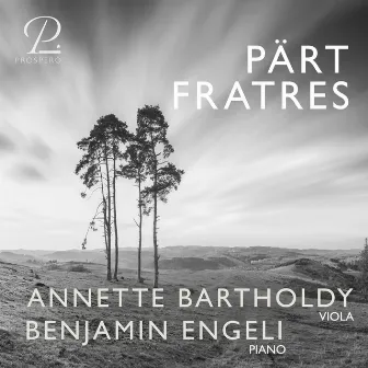 Arvo Pärt: Fratres by Benjamin Engeli