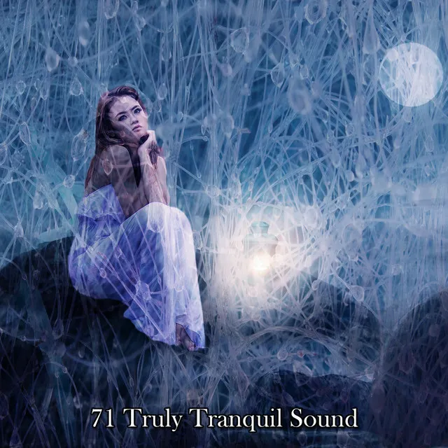 71 Truly Tranquil Sound