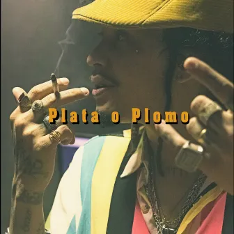 Plata o Plumo by Moikas