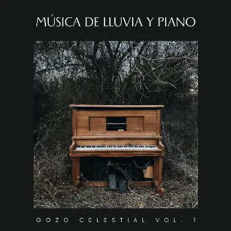 Música De Lluvia Y Piano: Gozo Celestial Vol. 1 by Radio jazz suave