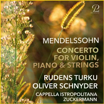 Mendelssohn: Concerto For Violin, Piano & Strings In D Minor by Ariel Zuckermann